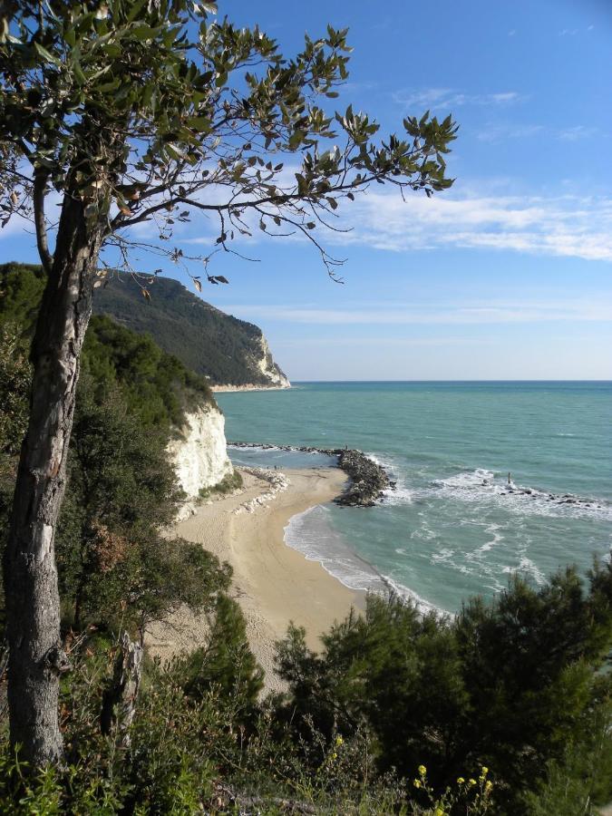 Mare Di Stelle Bed & Breakfast Sirolo Bagian luar foto